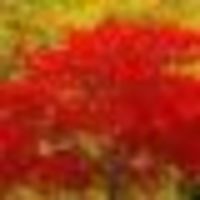 4ed42bf6266952391036c670ac3a5b0cfd0c58c1