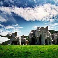 C4669065efca1be36d0224812a755deb89fe943c