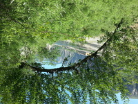 911351ab5a26ffc6344d326618623cf5f565277d