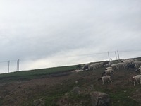 9bade5c33090d9e28a76e1d72c1618f42a2b3963