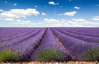 35ba7acdde4f9d670f0587d78468ad255de79152