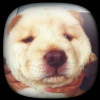 3ccfabdd2ceaae731b486737b70de0417b3a91ce