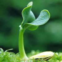 Aa3742cf3cf1ab28eb3ee8954ef42b8cf603b1c7