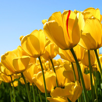 16af89dc8335b4649cdf328dc4c5d1a2147a5de2