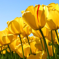 7e87b4698ef5b048c8b9bbd7d359b7b33e18a241