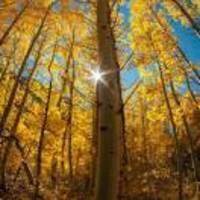 Bbb4ff41139b125466ce66bab2664719fba9b382