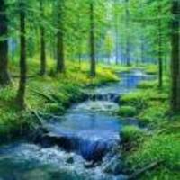 F73b7db7a544b70b6cbe4cc13c20fa8ad6dd613c