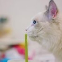 64245906031369276dec42eba280b91044c5cbd9