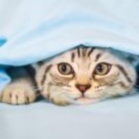 48c87d8342d057e20e652529975587097f21fc2f