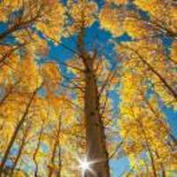 Ec49ff1aca5d7eca73a636ef4dc839a55a1d0057