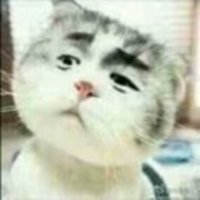 B8d8ad6232cd2c5561b1af7667705e42c16435c5