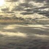 4496e4abb15b5a4519a1011c892ed224031db6f9