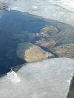 7359c2d437b0184960f62453a8faf1a8b380250d