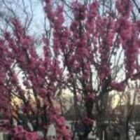 E08d0b3f9faa7679c3dcd361bf5a2ed031c8c756