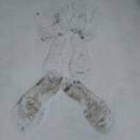 8c072197c3bcbbbd05453920cd9dde81dacd0a35