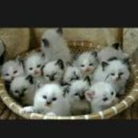 Dcf6f4e23dded48a35c871e2b009d905e1b0e2d9