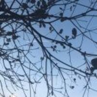 F4a108246d35c28444b3ffc67dd44222c5654e1f