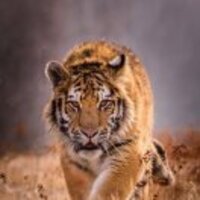 20398f688f4fb081e55261ef2c7364851fc25b29