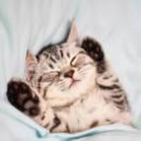 7621ef3b2682ed9ab88999296692da670b065d73