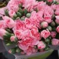 B0074a6f278d07be8d339a9e734035cabf06727e