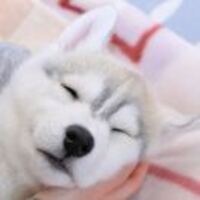 7520d17b54c05240e593acb76956c21c0883e381