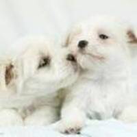 4fbcdb982677796047600010830f45baaed7acbf