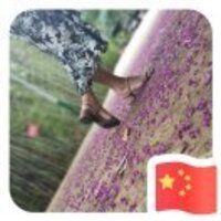 C2af5a4d307a316279ea375a1cc5206950a53f23