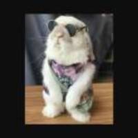 200fc79ca2f9cf99c42b5d8374ec063a44b592fe