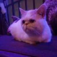 Cdd1065de5637dd897b934433a965fca506ab44d