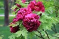 D44f398ed2151addbfab88b34211fa2abdd9694f