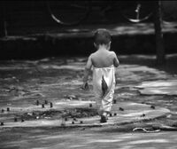 8d0892e8ba08044fa7e8f17512aefd7804ccfc89