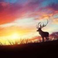 245241b254d01ab23e9fa5e1426f6eee56c9719a