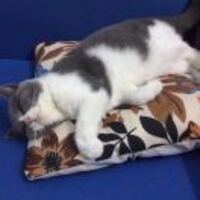 54b84fae0716e9fb9e8918a75a7f14b599ec836b