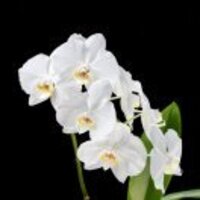 5ac7ab4c4fb49d24fef1cf7a37d1d2be25ffa35b