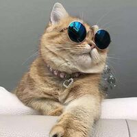 D933abbf7e3af927c1f4c1644007aacabe884c6a