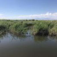 B2dc84b3277f350838633170df7238ccb9d620d5