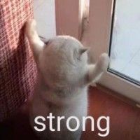 239602d0684f9d9184e7f41e2a2c178bb836262c