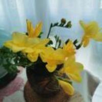 2507bc515b21aaed243c23153cca1131dc067fde