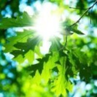 2ba09248f706128bbf96c3a2654614b446e432e0