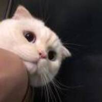 E04d98dbbbb60dbc9d25182f32caf80aa6ded506