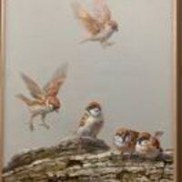 E58d291b908011646e29f2d3ba311f65316d1f13