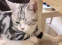 8f9b0f03c15549a9dc330a3b9e329a320d693dab