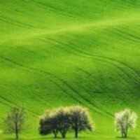 C1a5281180ed1bc80124d52d669874a82f7ab7d7