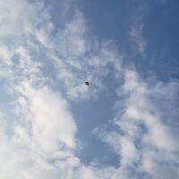 2244f84e3926f319a70e6854838d6be0acb582b8