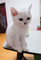 Bda899c9cdc450efa89ccec0f64f8e9d2a456192