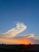 Eec32a240344b7c370b3a8b67e1c7c41c84a1f71