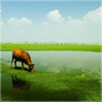 2892d9b03459a8ff6638780853caf02e9cdc4210