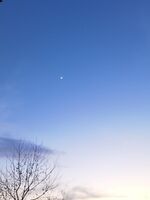 16d044463f4fa80598f5ad53d3f3c38222f104ae