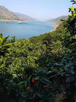 Ab790796caf682197cc9fed98bbc3f8997427c28