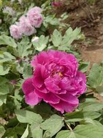 0707be8cf36b72ad19d0dcadf9b1f9edba0730ab